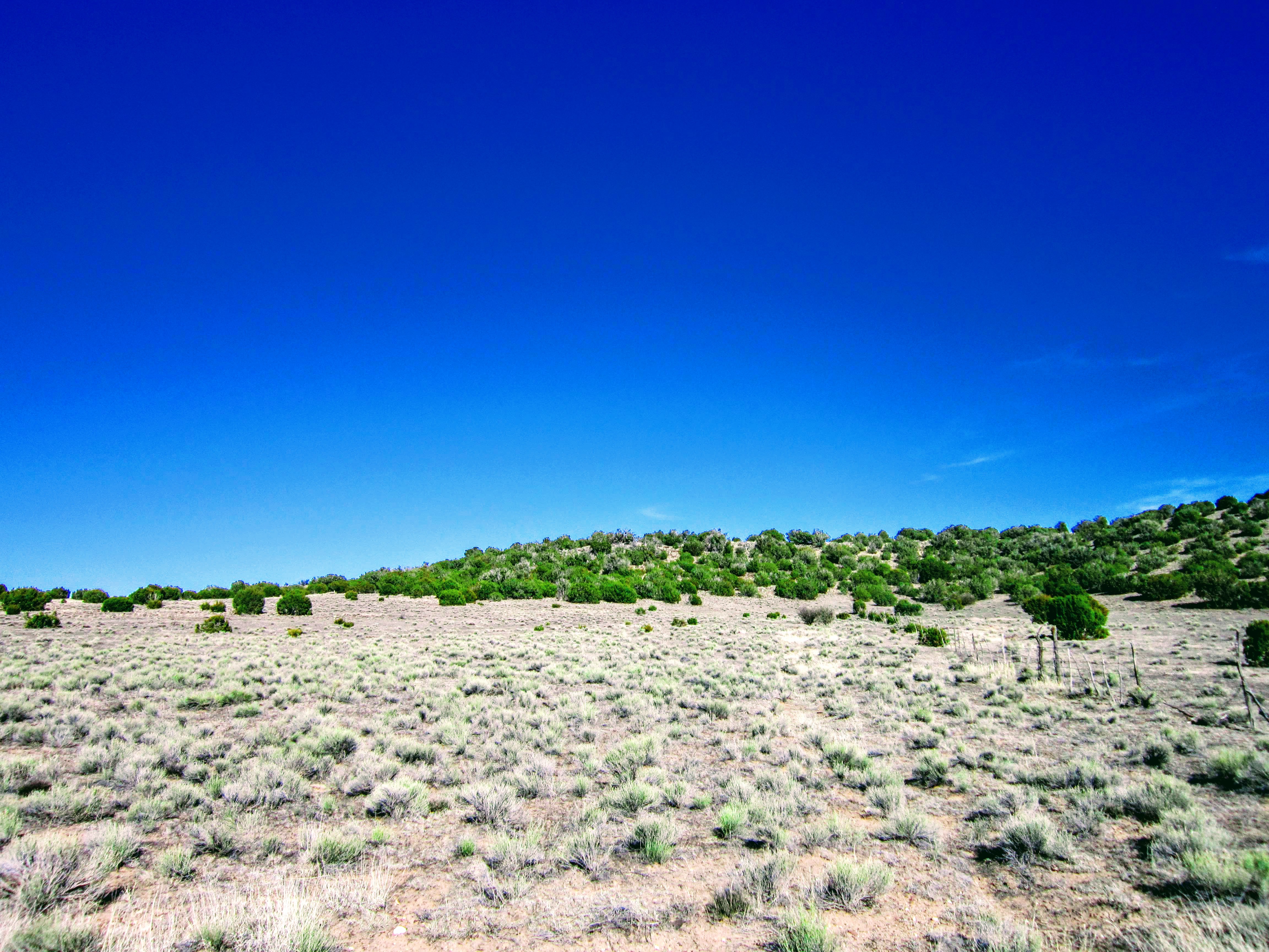 East Rock Hill from Road