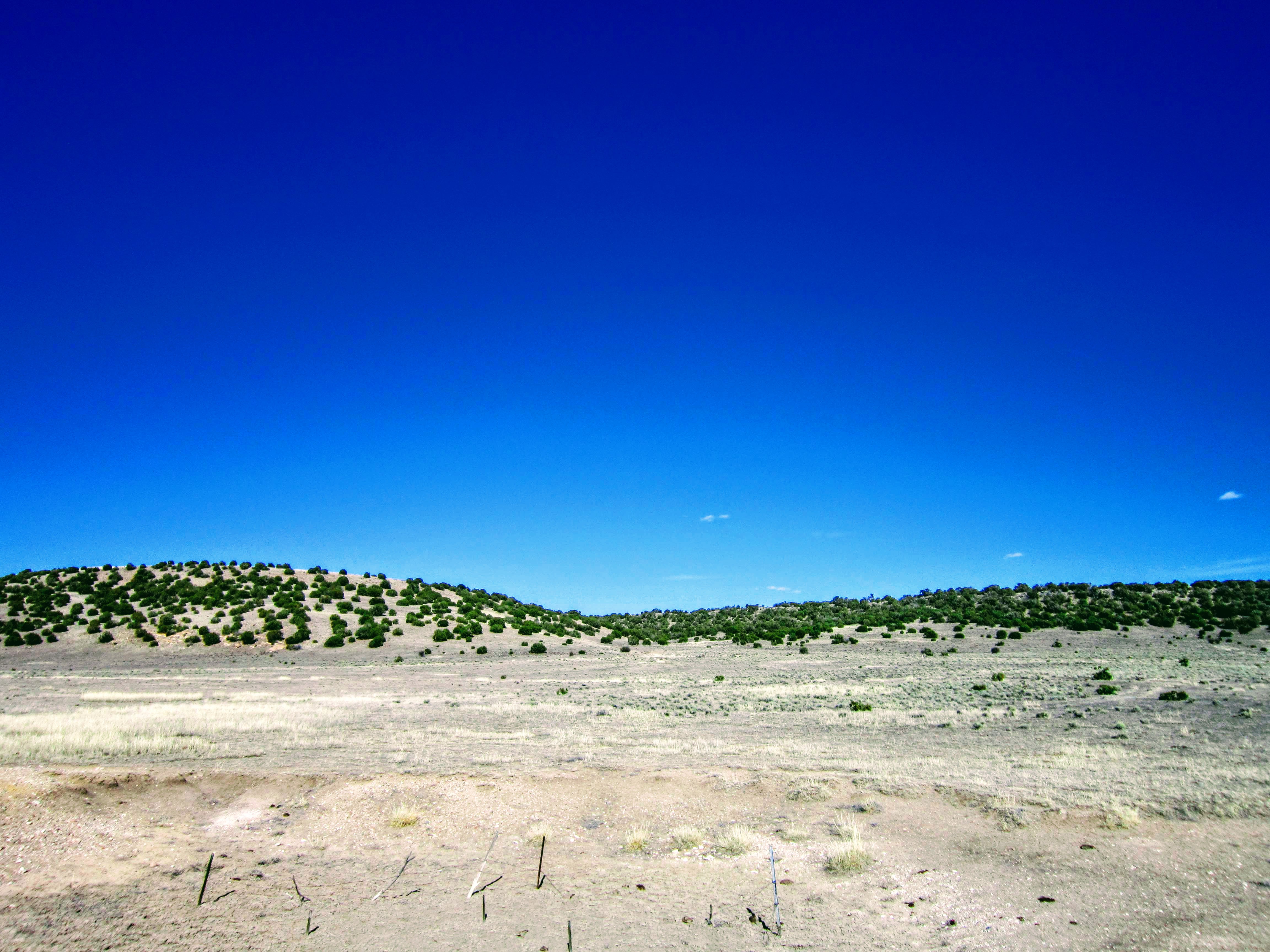 East View from Center