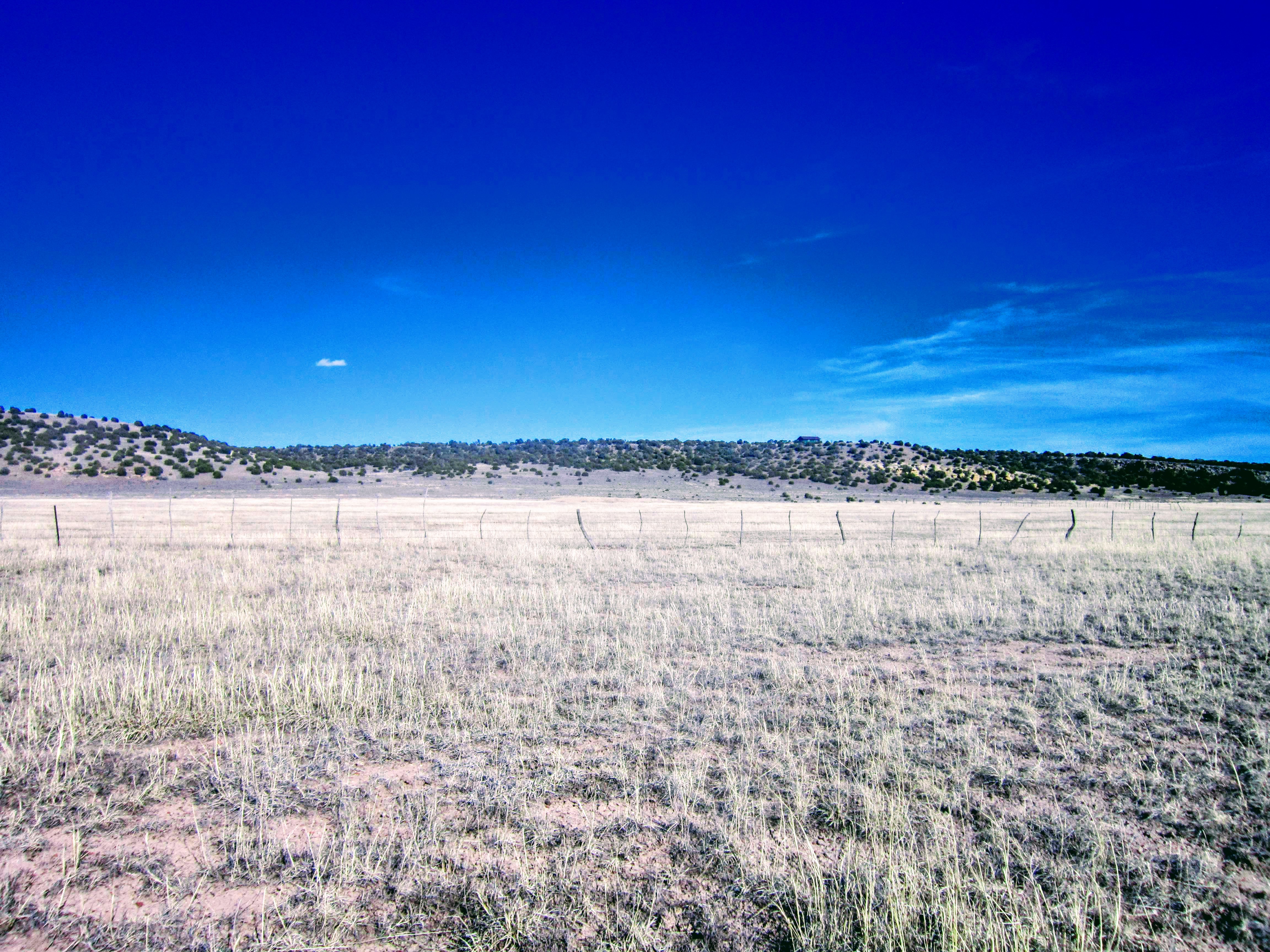 Fence in the Middle of Property