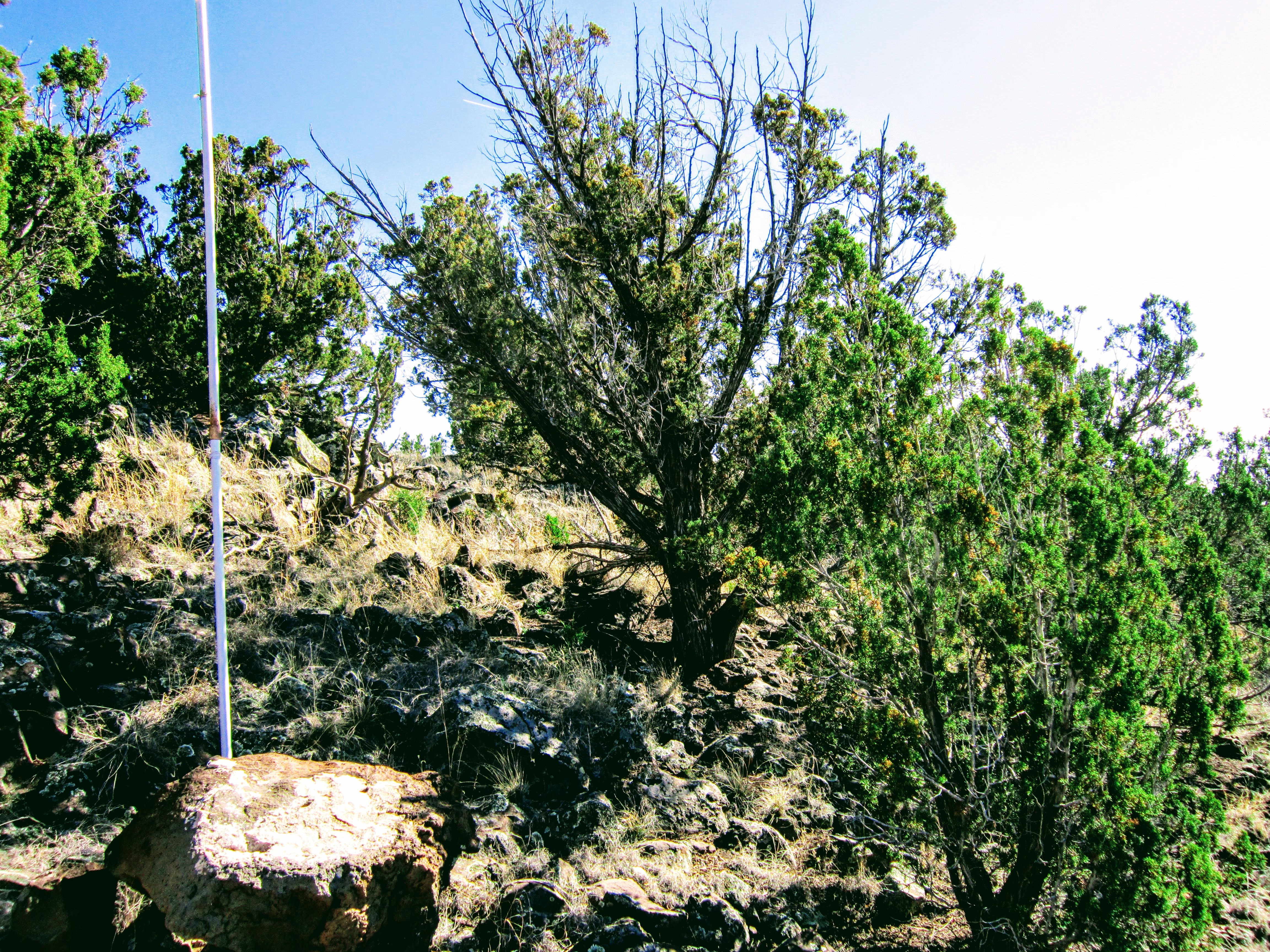 NE Corner Facing SW Corner