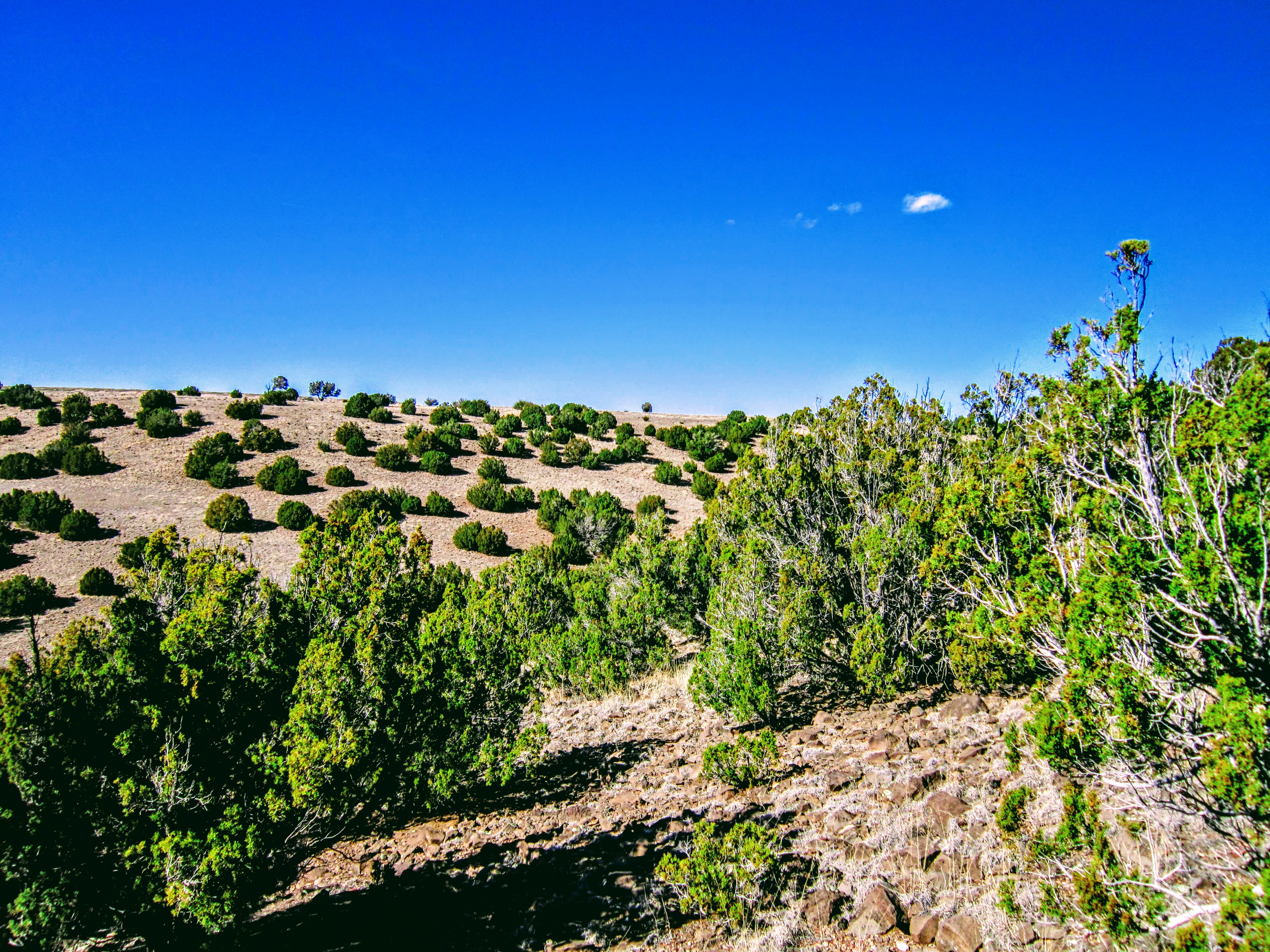 NE View from NE Corner