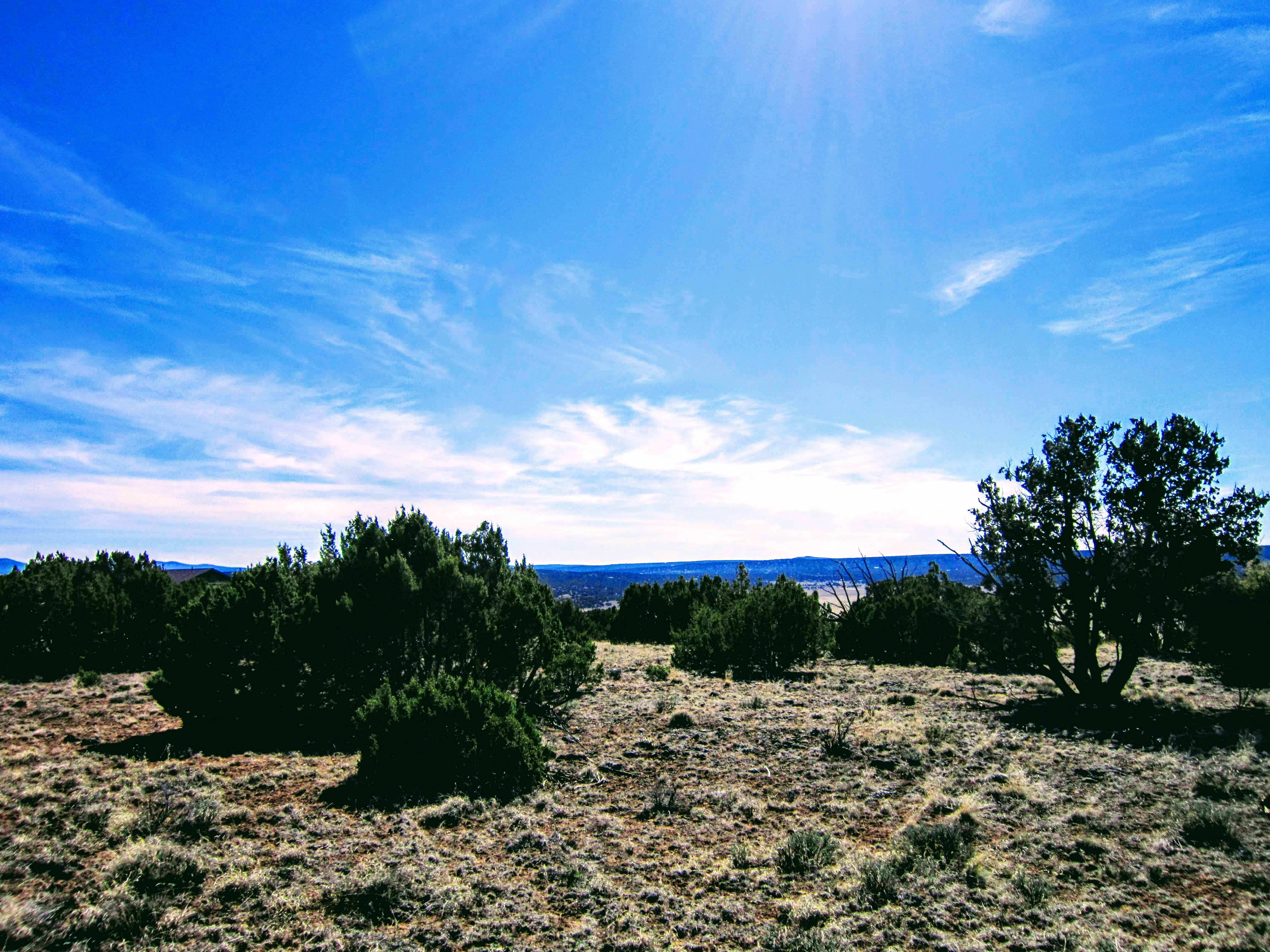 NE View from South Border