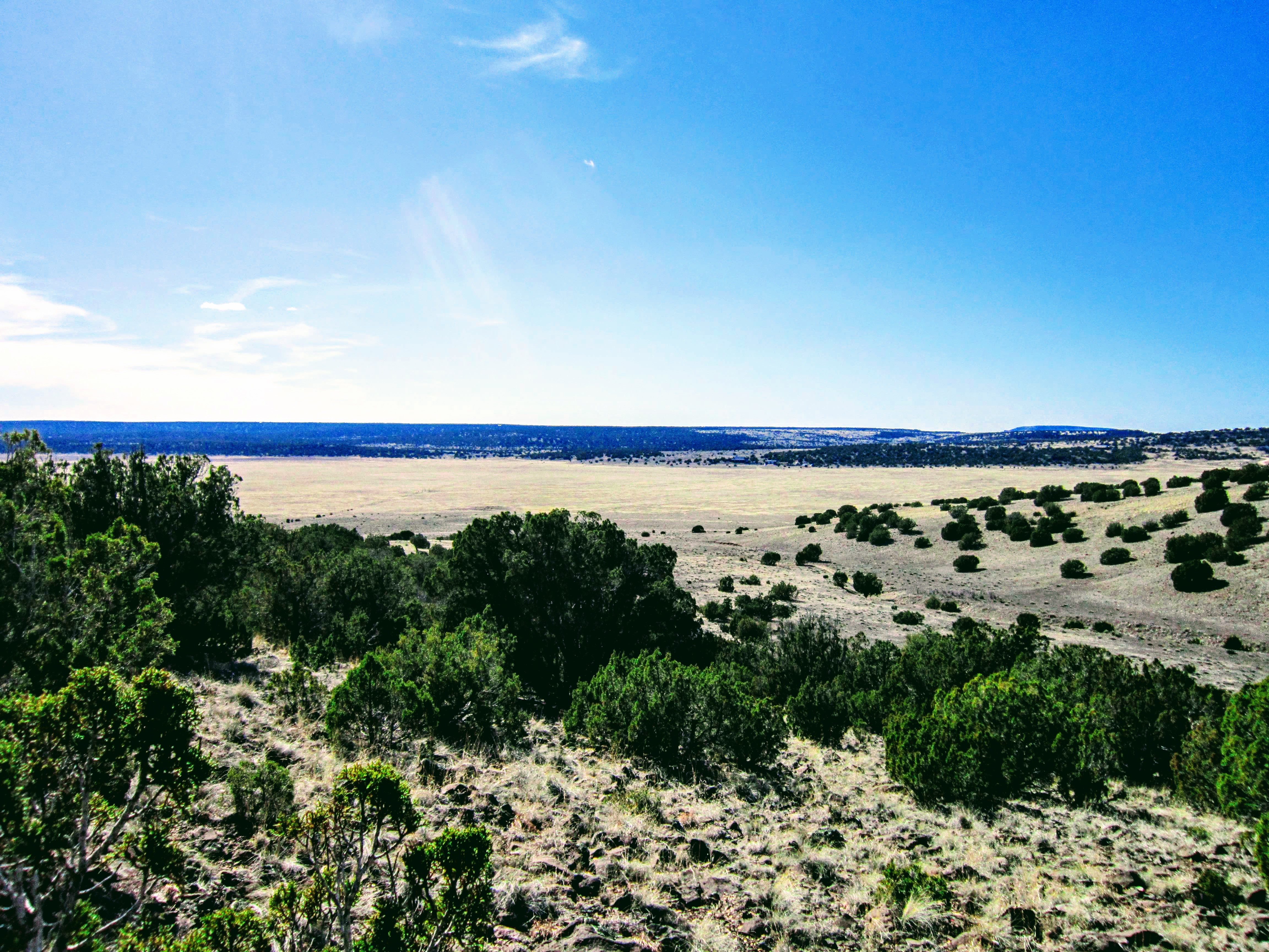 North View from NE Corner