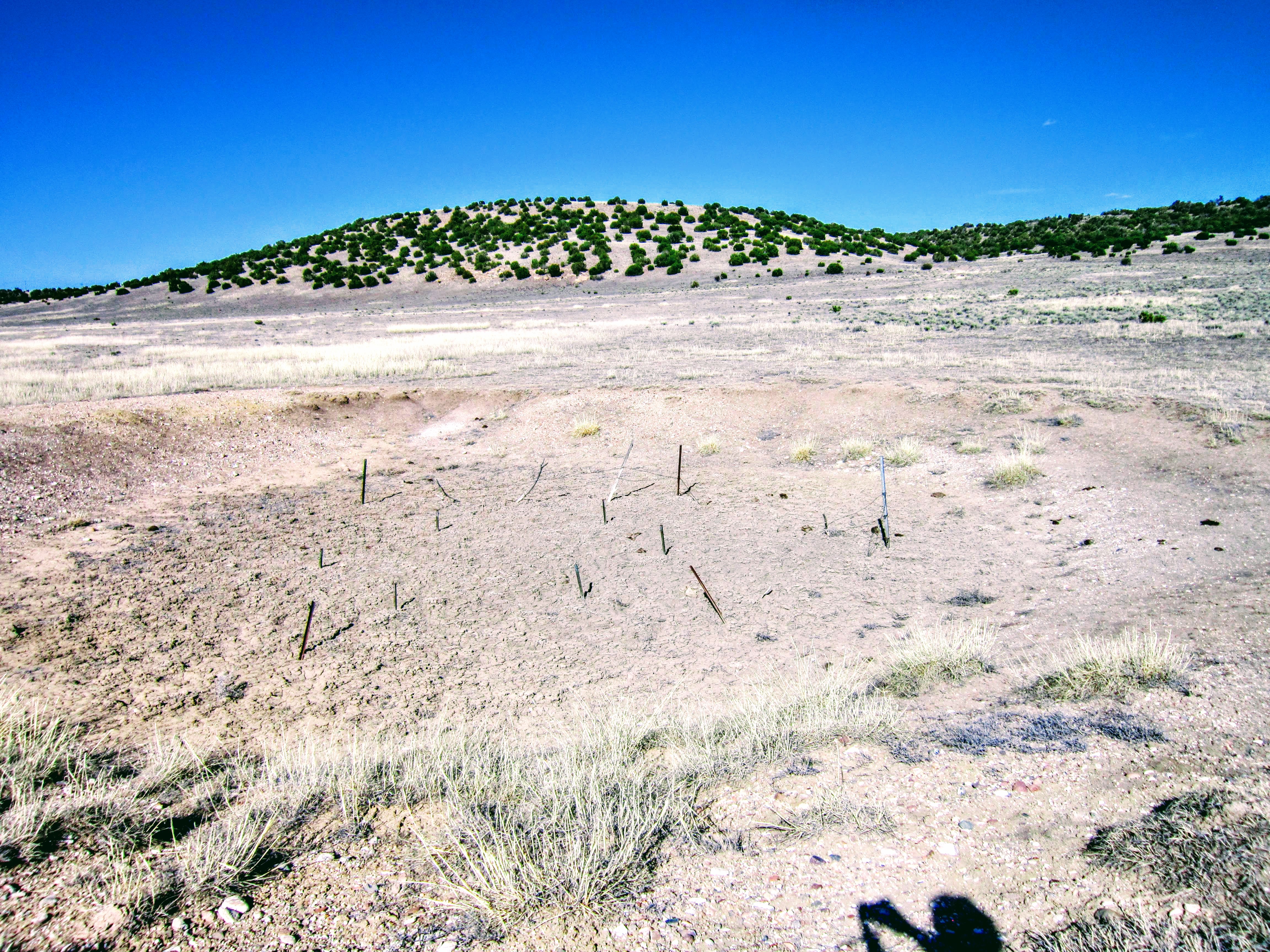 Old Fence in Reservoir