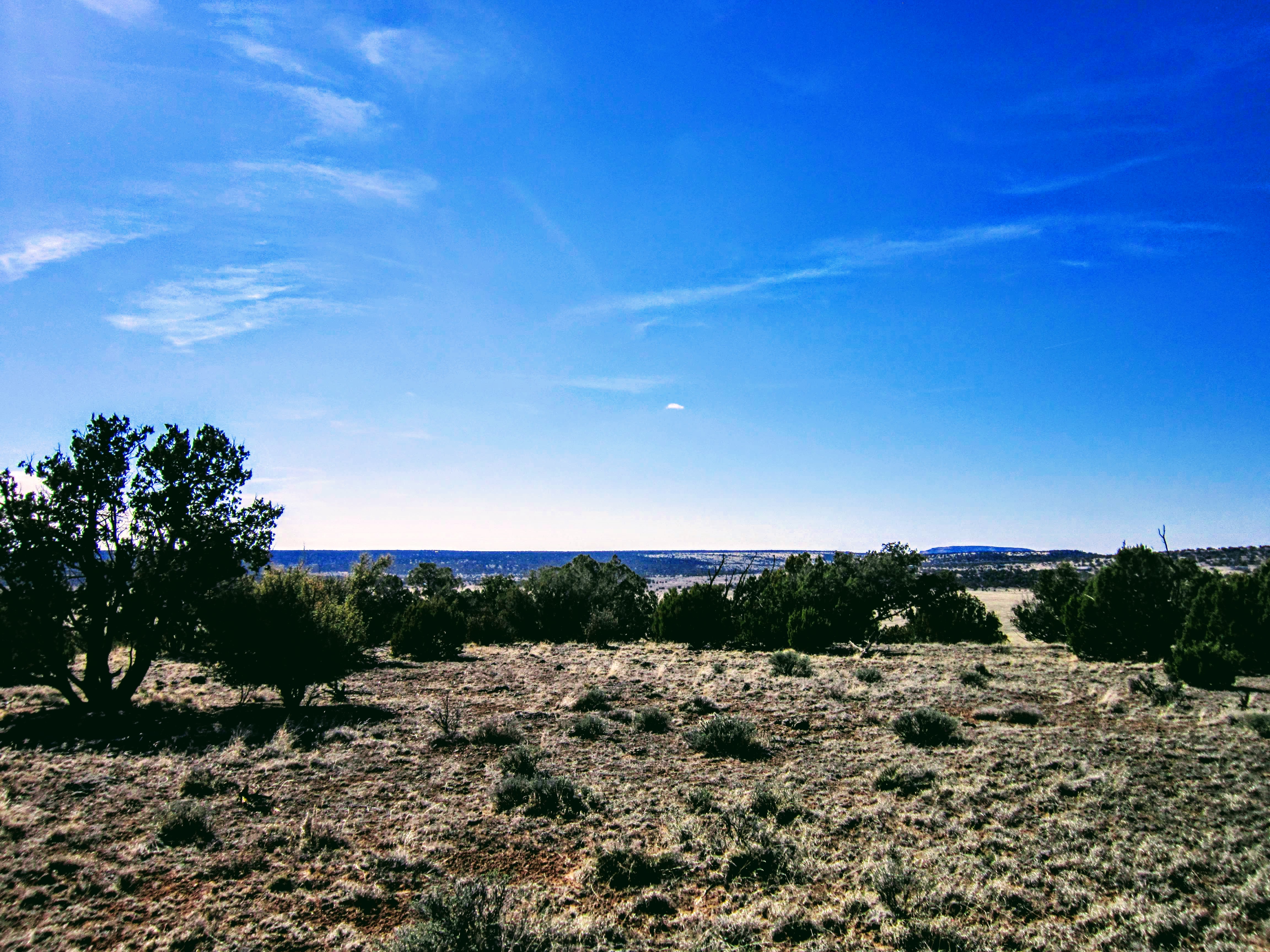 SE Corner Facing NW Corner