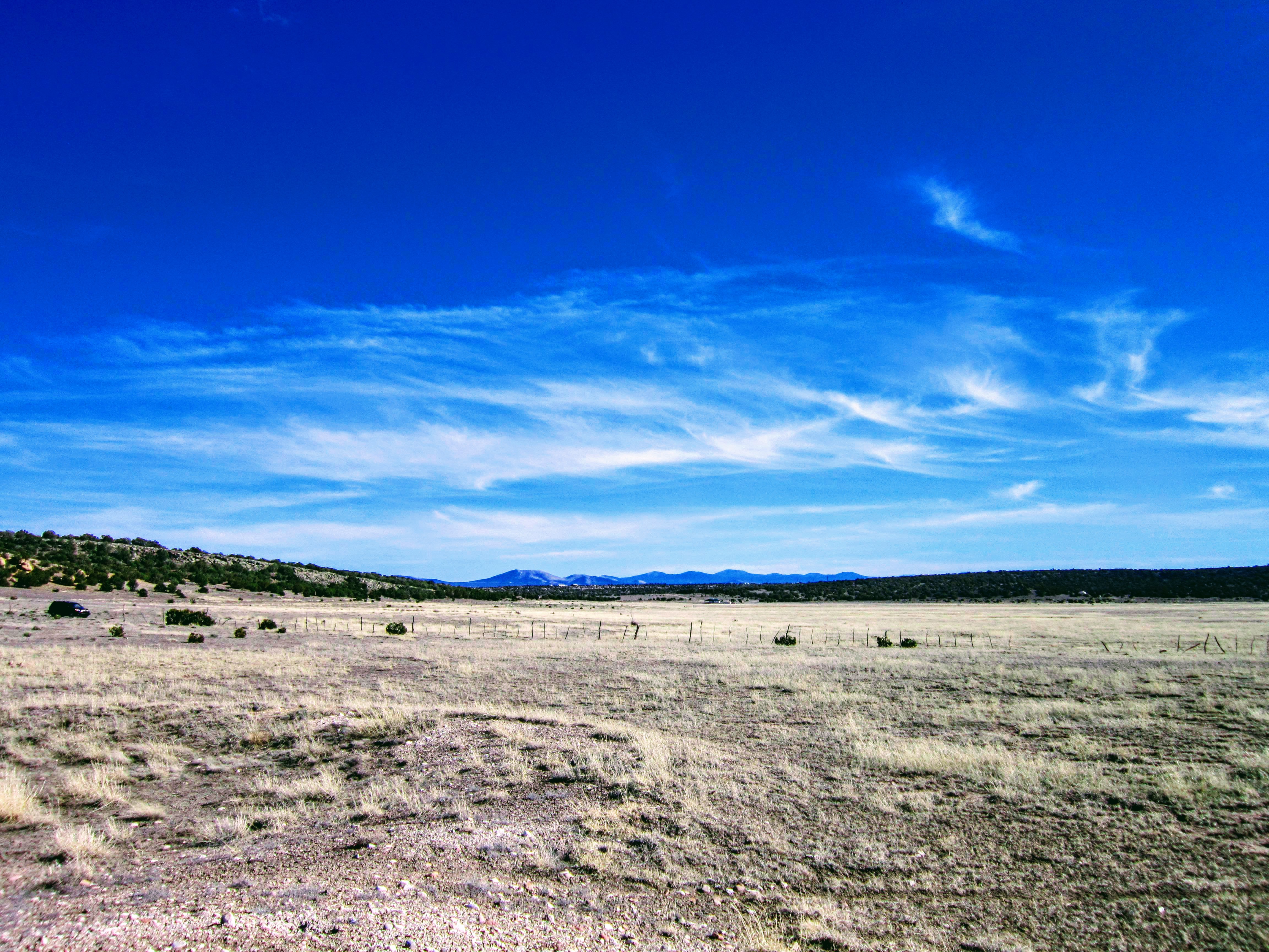 South View from Center