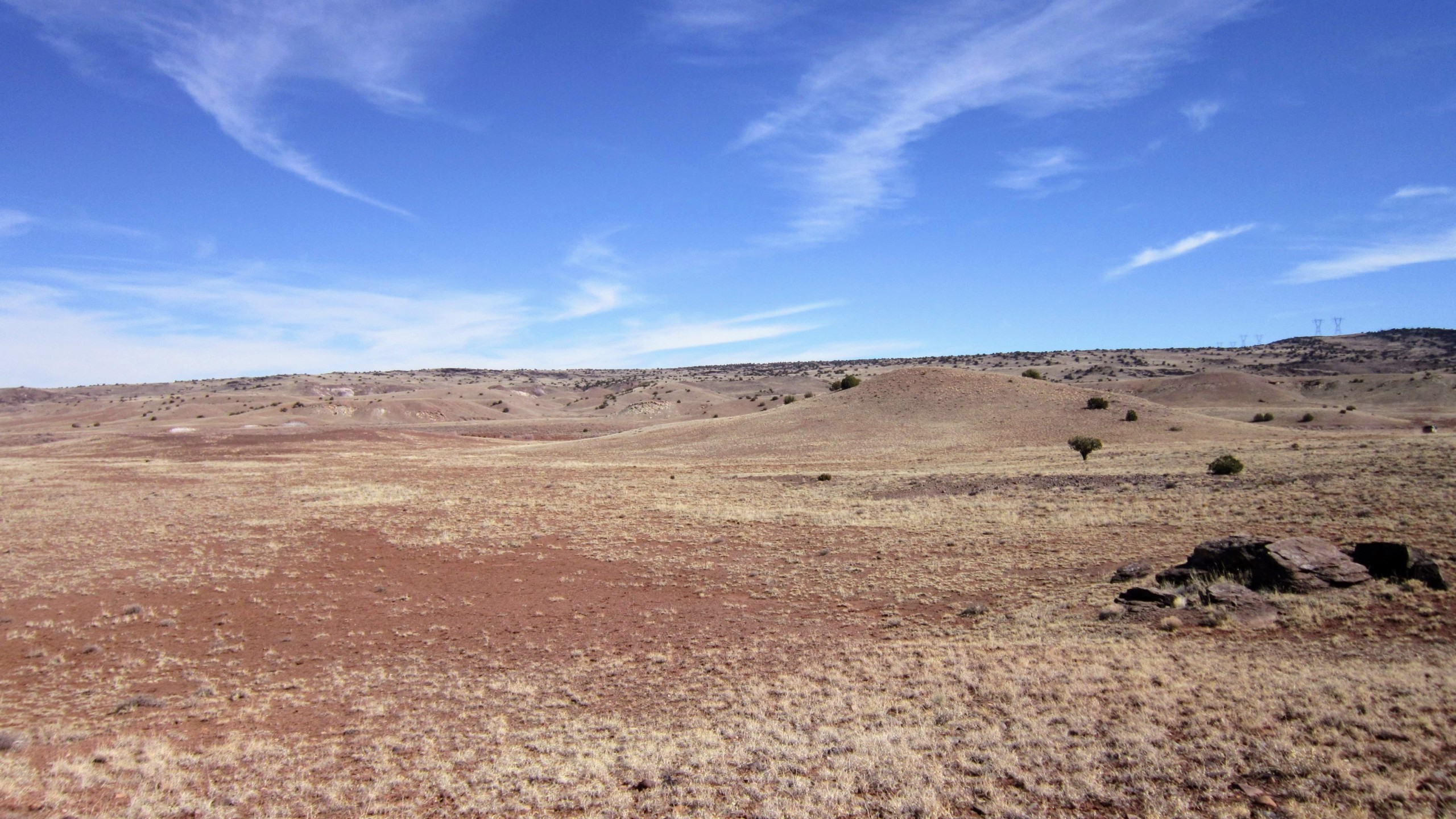 East view from Center