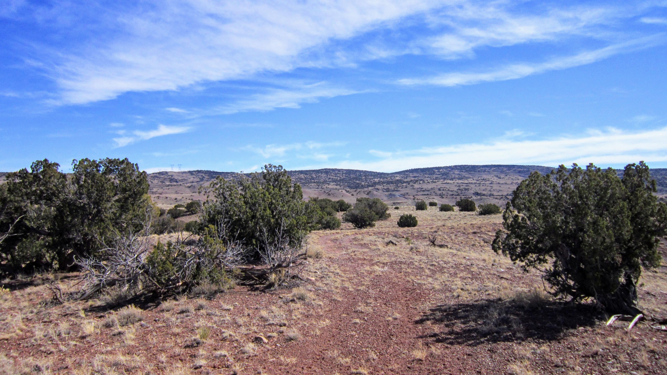 East view from SW corner