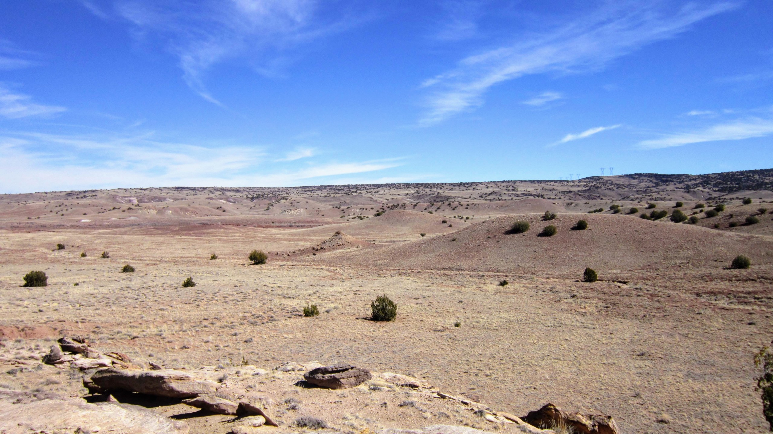 NE-East view from western border