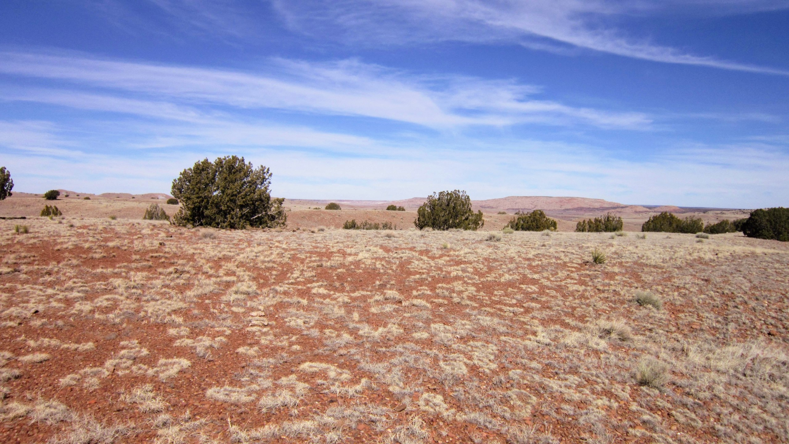 NE view from southern border