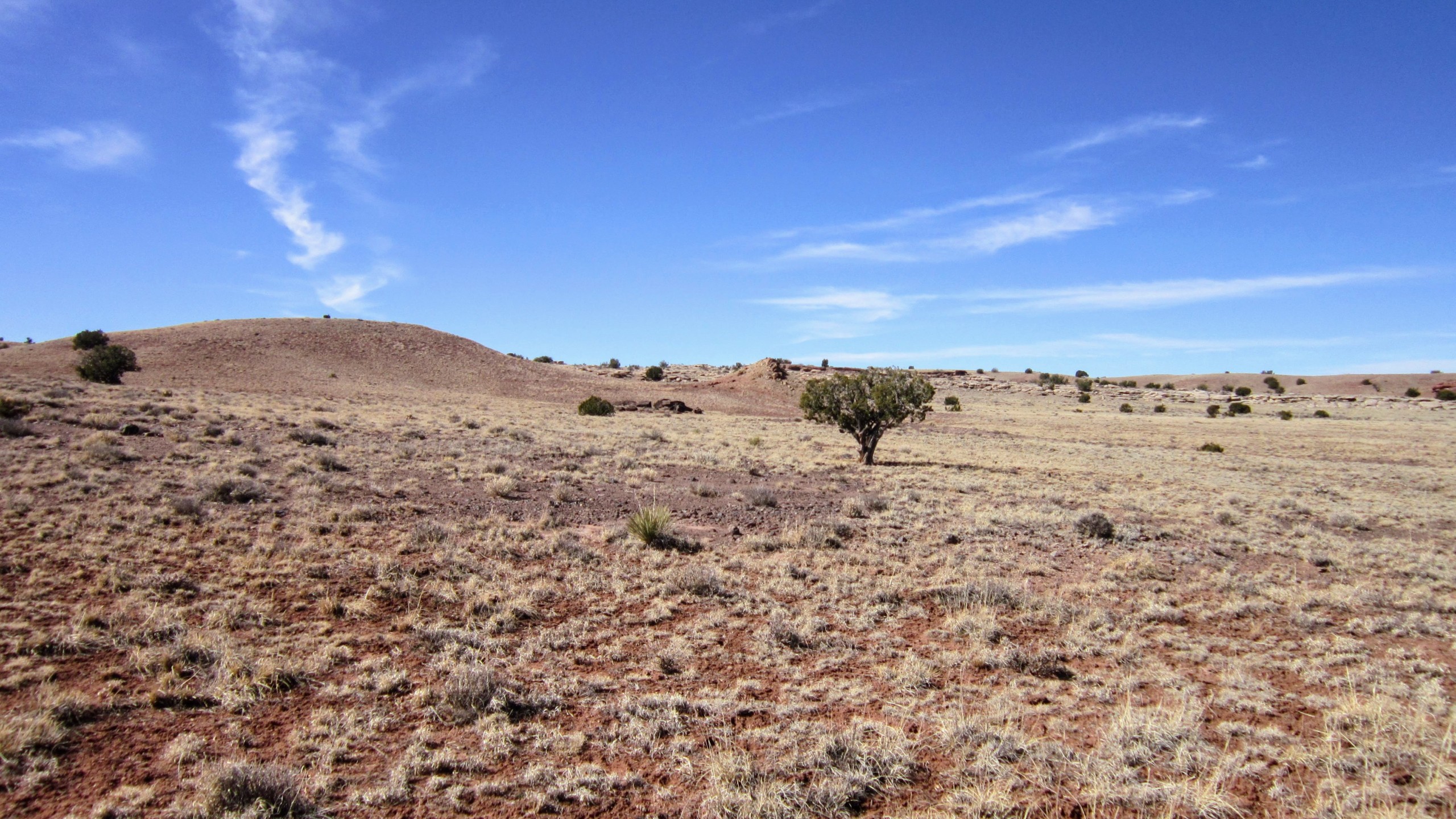 NW view from NE corner