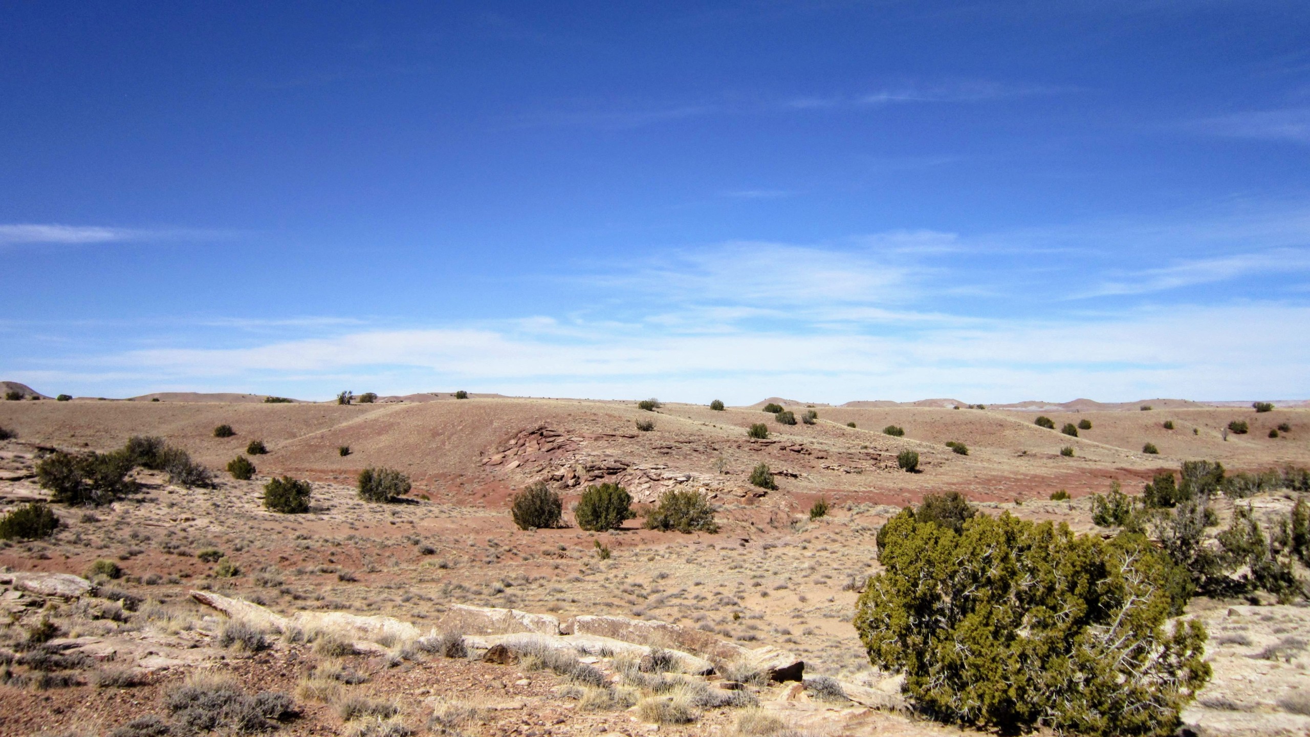 NW view from NW corner