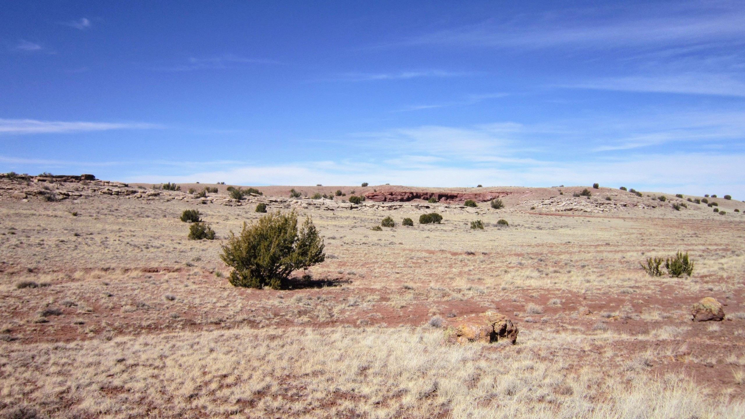 NW view from center