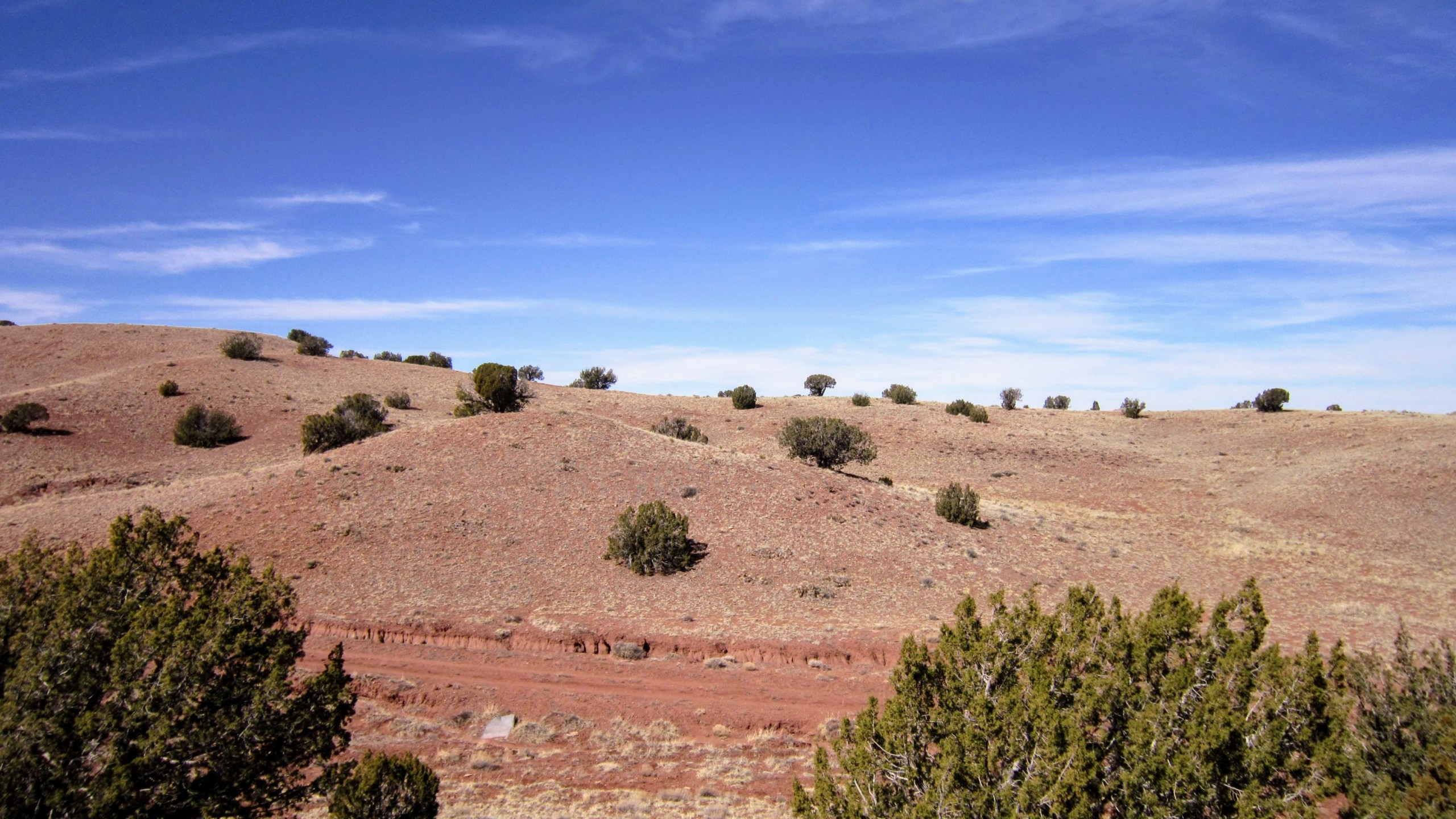 NW view from hill near Southeastern border