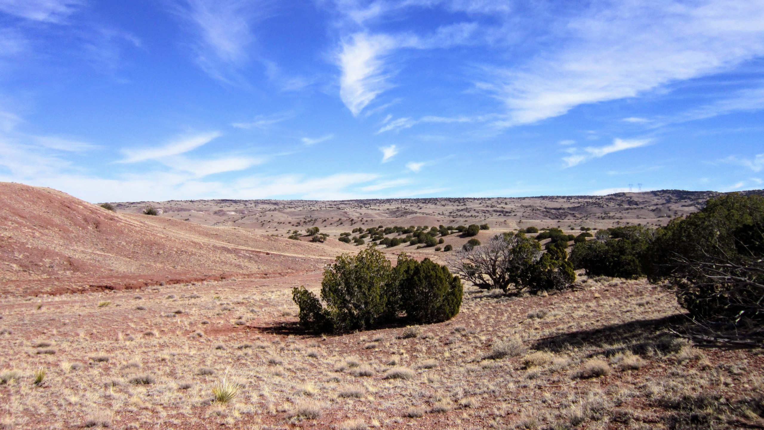 North East view from SW
