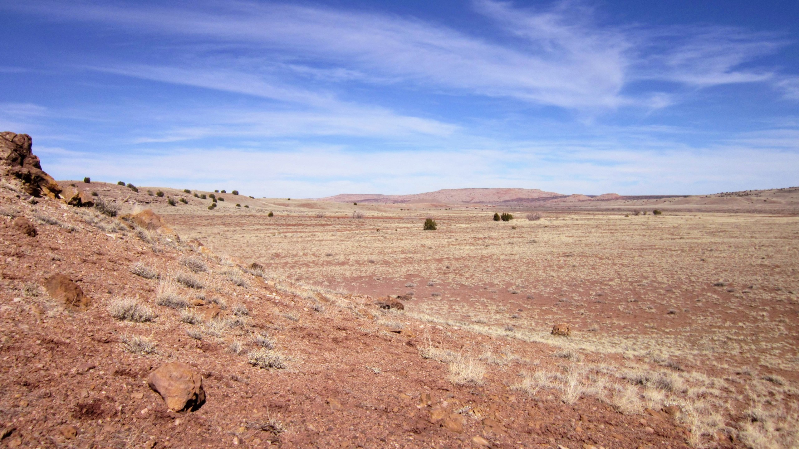 North view from Center