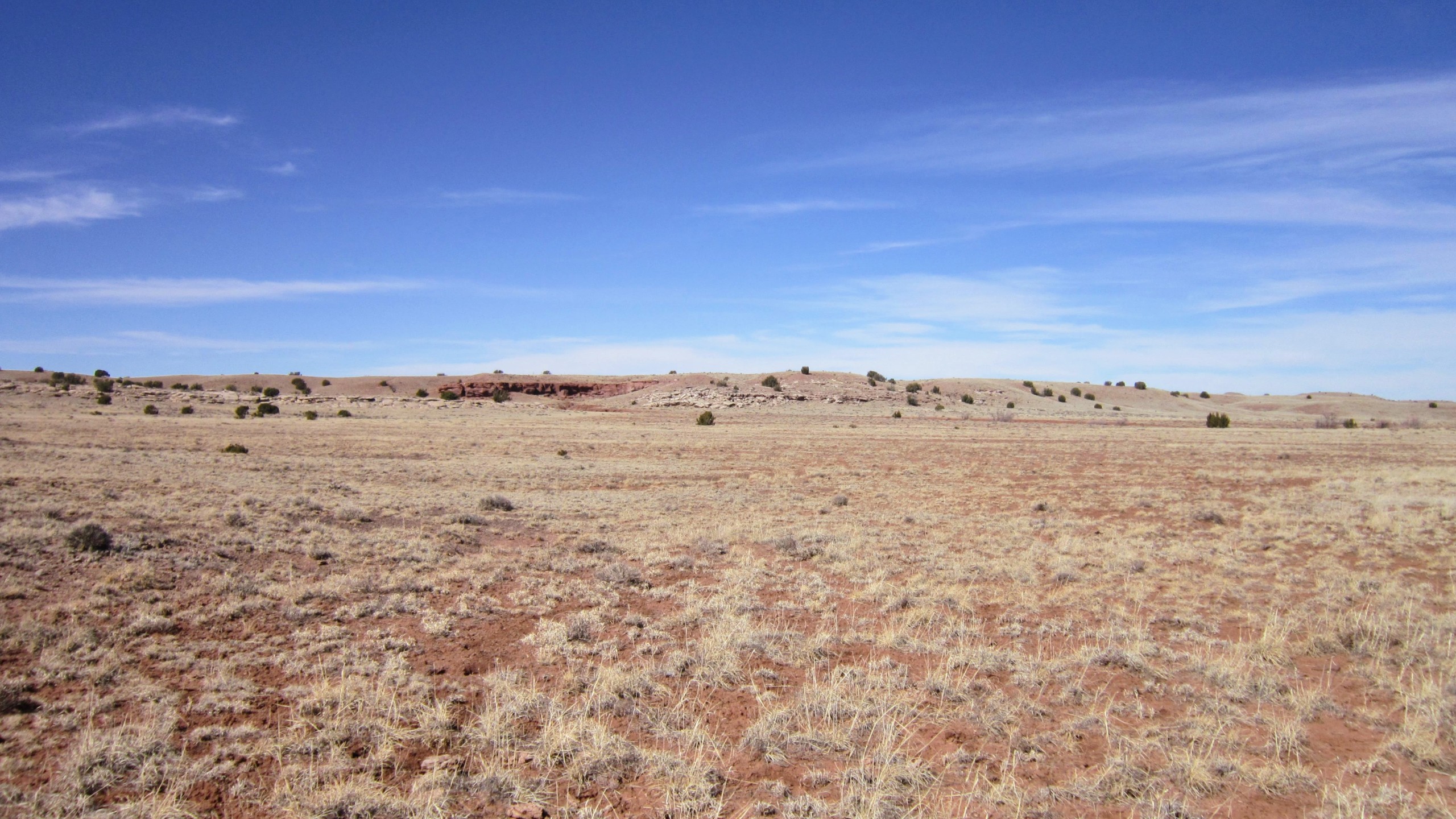 North view from NE corner