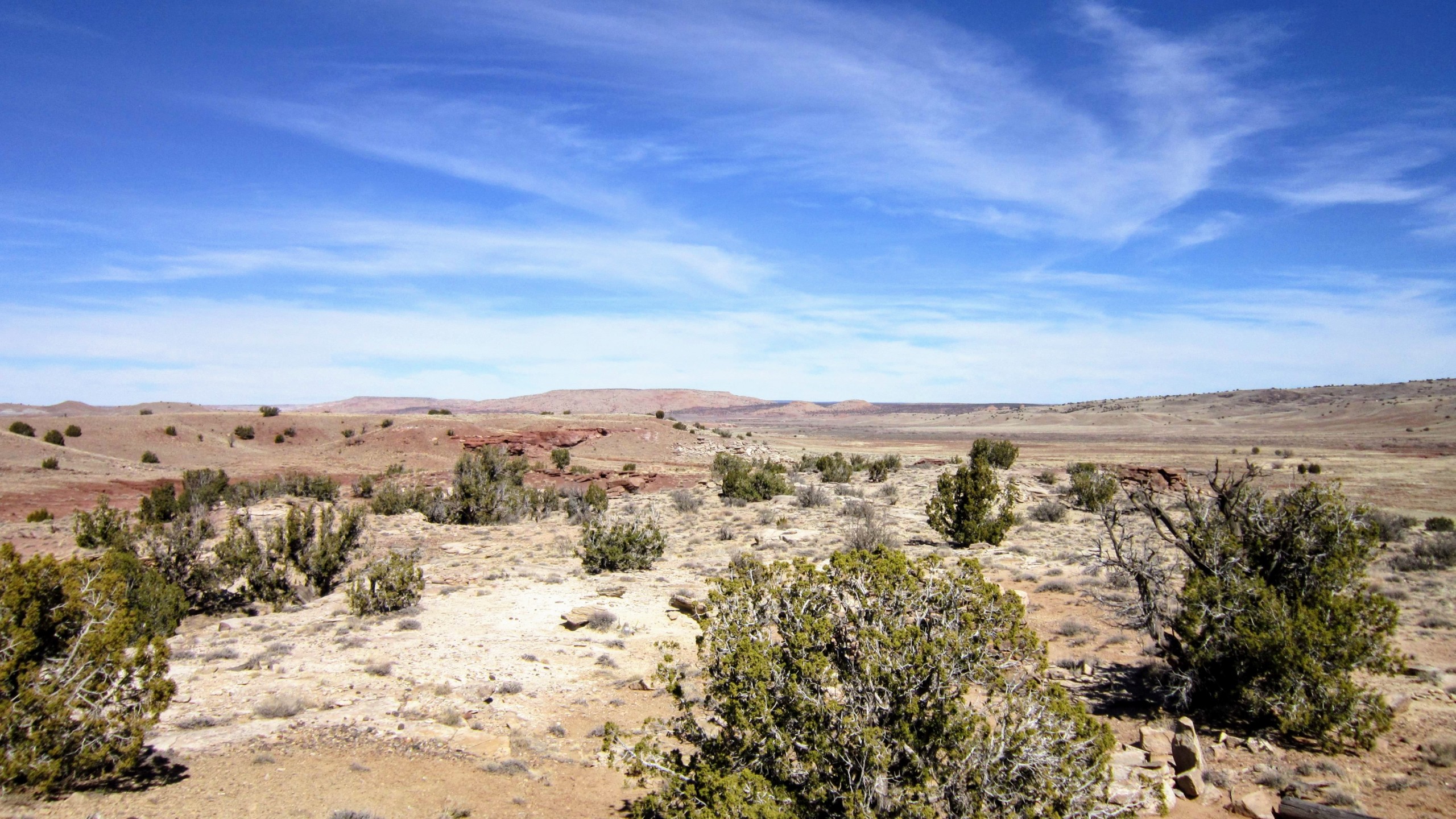 North view from NW corner