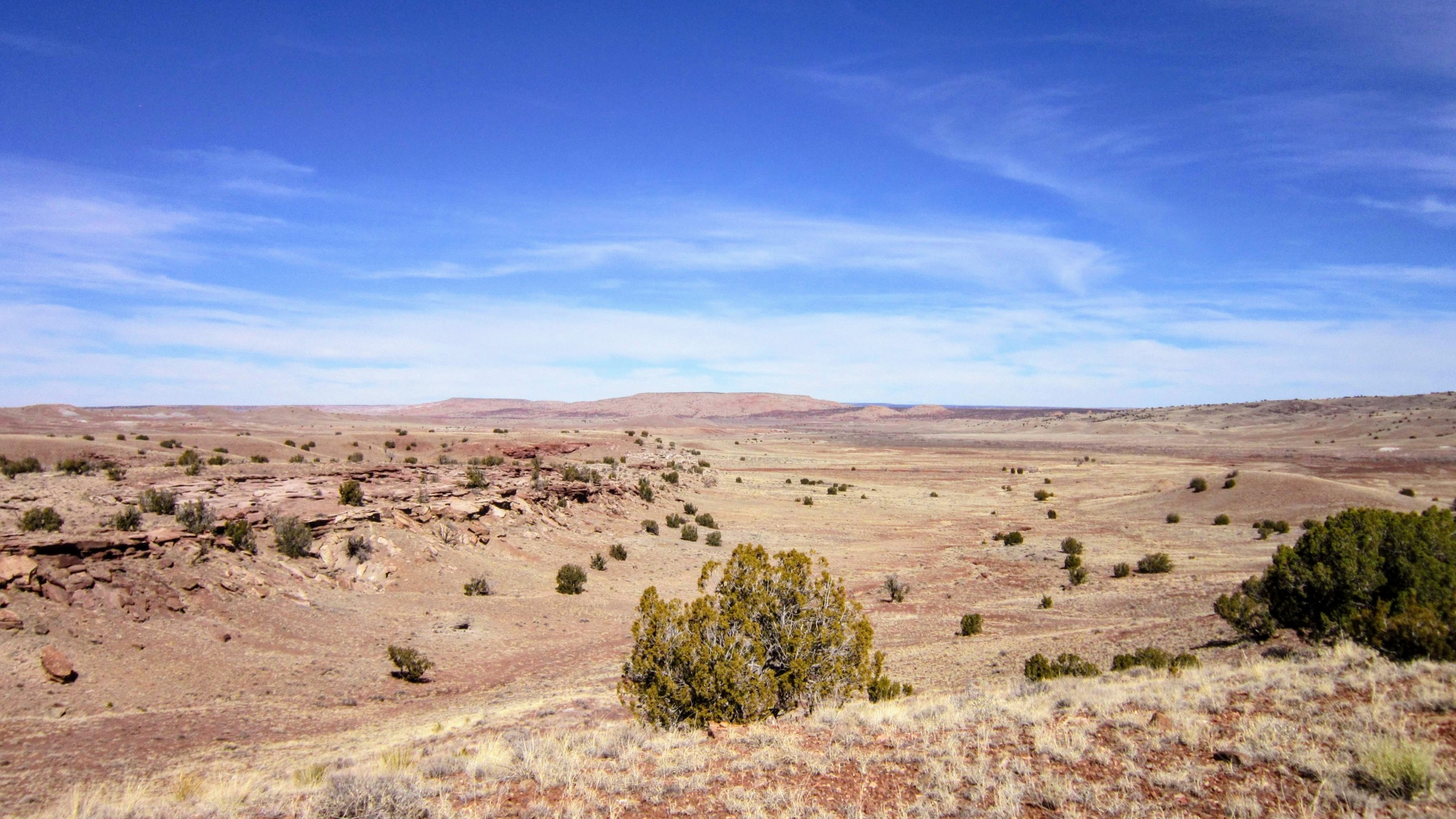 North view from center hill