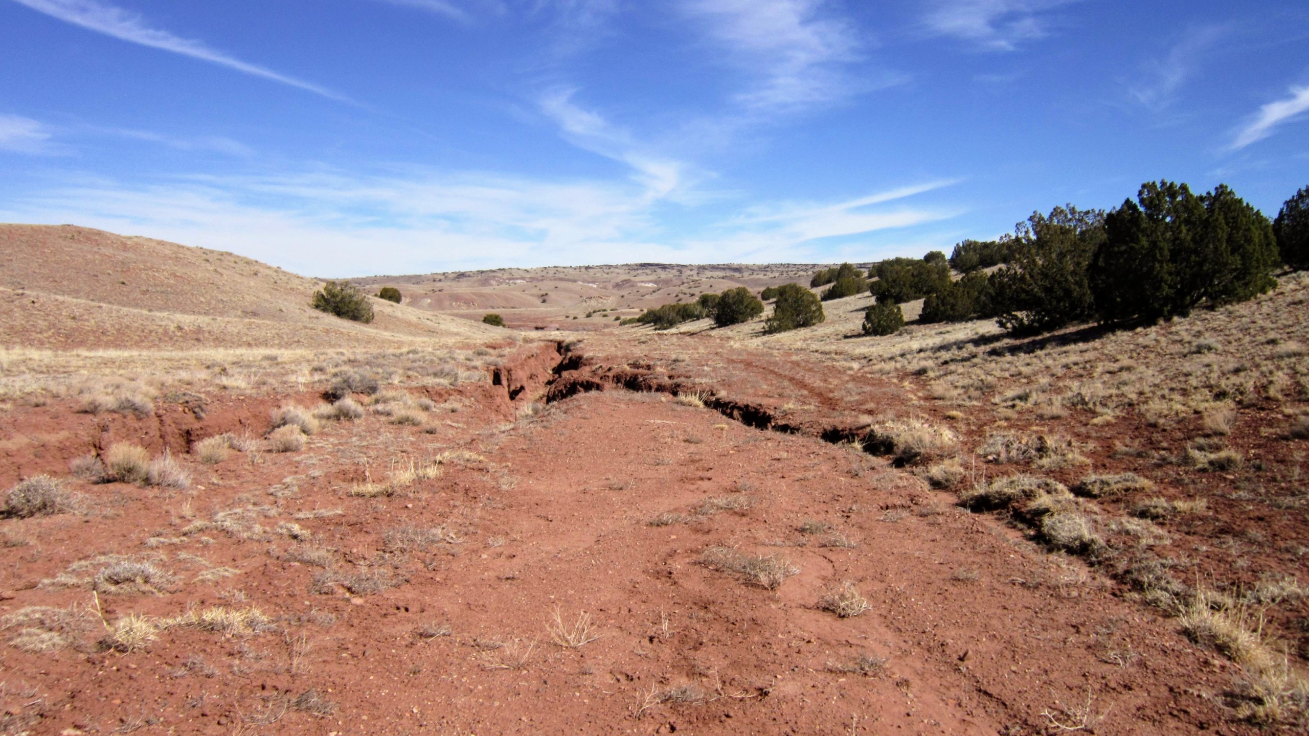 Road facing East
