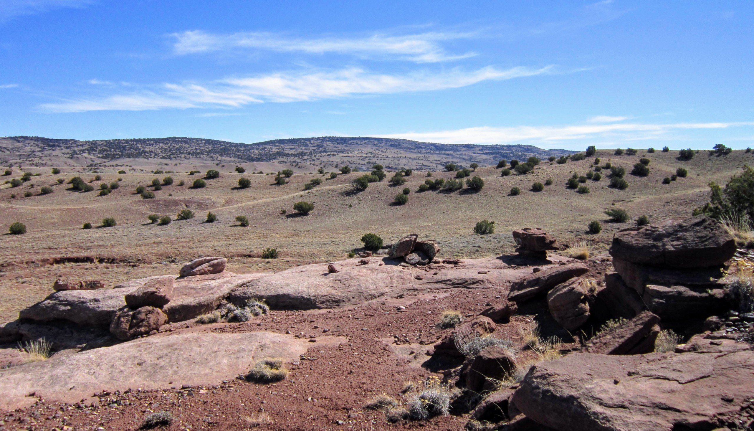 SE view from western border