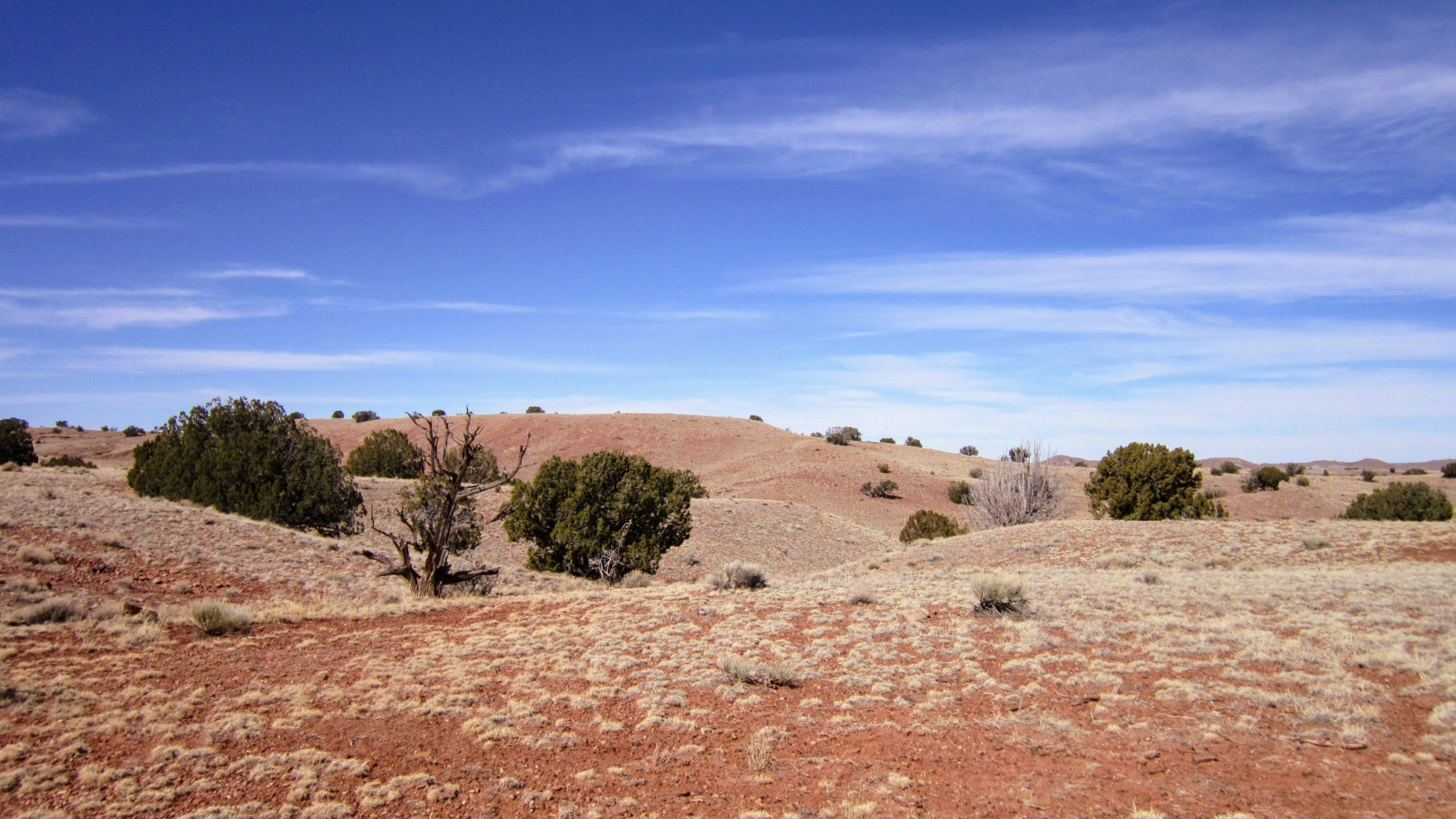 Terrain facing NW from southern border