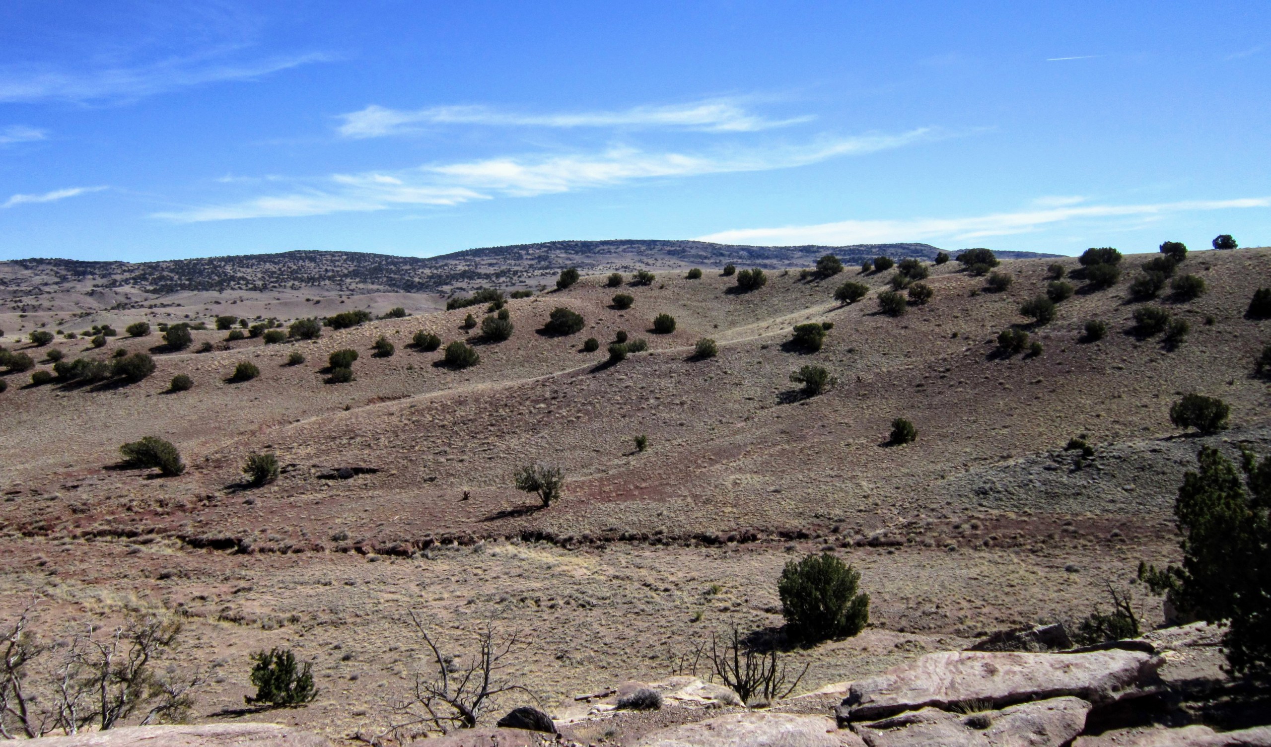Terrain facing SE from western border (2)