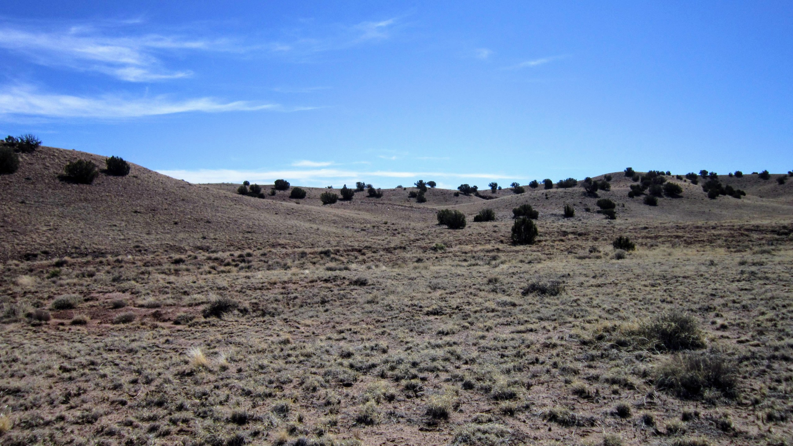 Terrain facing SE from western border