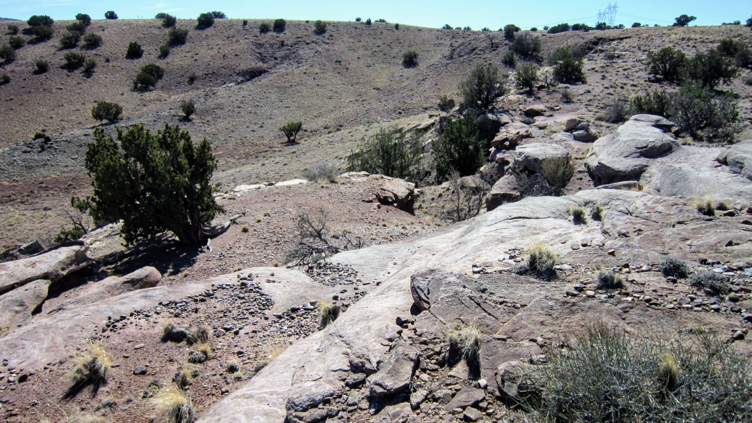 Terrain facing SW along western border