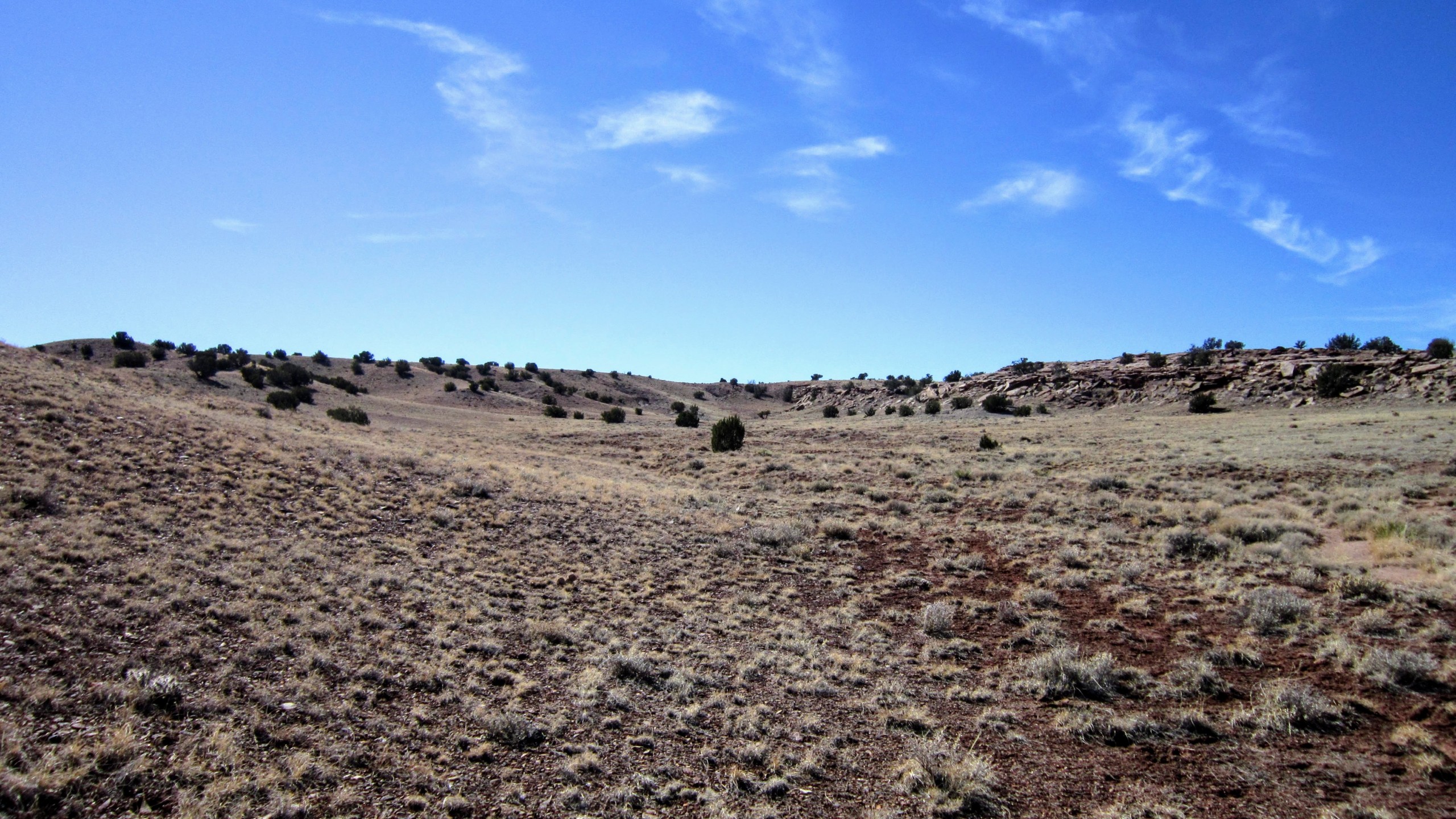 Terrain facing southwest from center