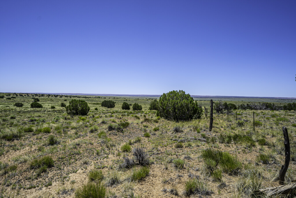 76-acres-up-to-136-acres-available-circle7land