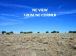NE view from NE corner