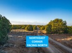 NE Corner North