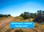 NE Corner East