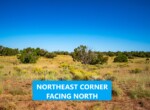 NE Corner North