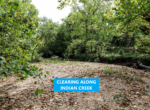 Ground - Clearing by Indian Creek