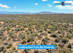 Looking East from the Property